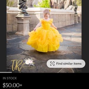 Custom Made Princess Belle Dress